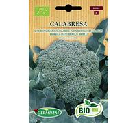 Germisem Bio Graines Chou Brocoli vert Calabrais CALABRESA