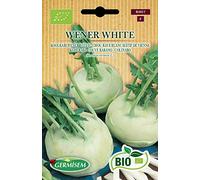 Germisem Bio Graines Chou rave blanc hâtif de Vienne WENER WHITE