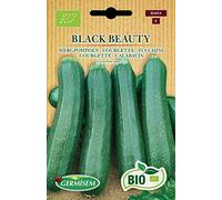 Germisem Bio Graines Courgette BLACK BEAUTY