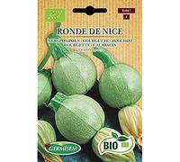 Germisem Bio Graines Courgette RONDE DE NICE