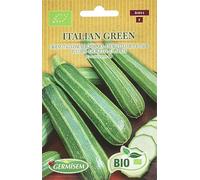 Germisem Bio Graines Courgette verte d'Italie ITALIAN GREEN