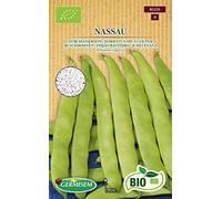 Germisem Bio Graines Haricot nain à couper NASSAU