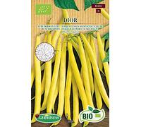 Germisem Bio Graines Haricot nain mangetout jaune DIOR
