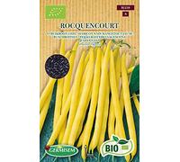 Germisem Bio Graines Haricot nain mangetout ROCQUENCOURT