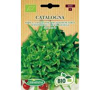 Germisem Bio Graines Laitue à couper Catalogne verte CATALOGNA