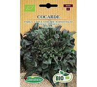 Germisem Bio Graines Laitue à couper Cocarde ECBIO6026