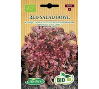 Germisem Bio Graines Laitue à couper feuilles de chêne rouge RED SALAD BOWL