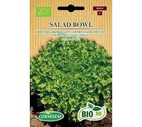 Germisem Bio Graines Laitue à couper feuilles de chêne verte SALAD BOWL