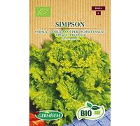 Germisem Bio Graines Laitue à couper SIMPSON