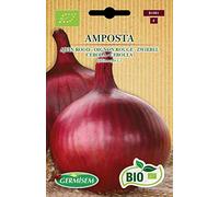 Germisem Bio Graines Oignon rouge AMPOSTA