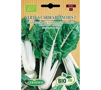 Germisem Bio Graines Poirée VERTE A CARDES BLANCHES 3