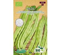 Germisem Bio Helda Graines de Haricot à Rames+ Sariette annuelle SATUREJA HORTENSIS