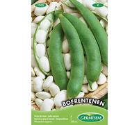 Germisem Boerentenen Graines de Haricot à Rames 100 g EC1202 Multicolore