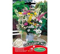 Germisem Cut Graines de Mélange de Fleurs 10 g EC1652 Multicolore