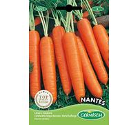 Germisem graines Carotte demi-longue Nantaise NANTES