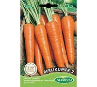 Germisem graines Carotte Longue Berlicum BERLIKUMER 2