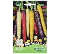 Germisem graines Carotte RAINBOW F1 MIX