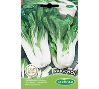 Germisem graines Chou chinois PAK-CHOÏ