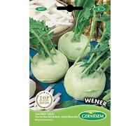 Germisem graines Chou rave blanc hâtif de Vienne WENER
