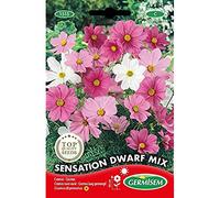 Germisem Graines Cosmos nain varié SENSATION DWARF MIX