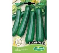 Germisem graines Courgette DIAMANT F1