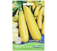 Germisem graines Courgette jaune GOLDEN F1
