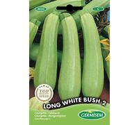 Germisem graines Courgette LONG WHITE BUSH 2