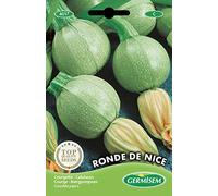 Germisem graines Courgette RONDE DE NICE - 3g