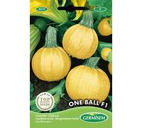Germisem graines Courgette ronde ONE BALL F1