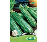 Germisem graines Courgette verte d'Italie (coucourzelle) GREEN ITALIAN