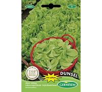 Germisem graines Laitue à couper Blonde DUNSEL