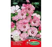 Germisem Graines Lavatère SILVER CUP