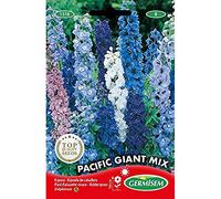 Germisem Graines Pied d'alouette vivace PACIFIC GIANT MIX