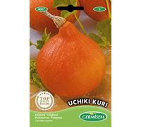 Germisem graines Potimarron Uchiki Kuri EC4007 Multicolore