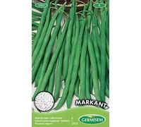 Germisem Markant Graines de Haricot à Rames 100 g EC1203 Multicolore
