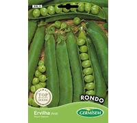 Germisem Rondo Graines de Pois 100 g XXL 5 Multicolore