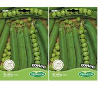 Germisem Rondo Graines de Pois 100 g XXL 5 Multicolore (Lot de 2)