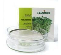 Germline Accessoires Coupelle de Germination