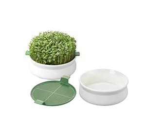 Germ'line - Germoir - Lot de 2 - Coupelle de Germination - Blanc - 14.5 cm x 14.5 cm x 7 cm - Indoor - Plante - Moderne - Décoratif, sans BPA, phtalates