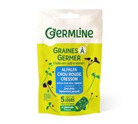 GERM'LINE - Graines À Germer Bio Alfa Cresson Chou Rouge 150G