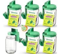Germoir en verre - Kit de démarrage lot de 6 G