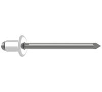 Gesipa 1433562 Rivet aveugle acier acier 250 pc(s)