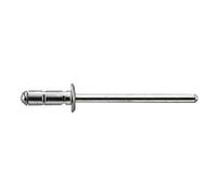 Gesipa 1433850 Rivet Aveugles 100 Pièces, Argent