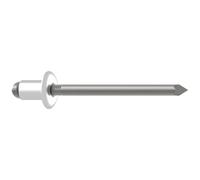 Gesipa Rivet aveugle acier tête ronde plate 4,8x25mm