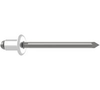 Gesipa Rivet aveugle acier tête ronde plate 4,8x25mm