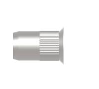 Gesipa 1455372 Ecrou à sertir en aveugle M10 100 pc(s)