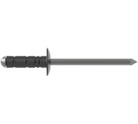 Gesipa 1712694 Rivet aveugle spécial acier aluminium aluminium e-Fast PolyGrip® 250 pc(s)
