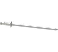 Gesipa 1818482 Rivet aveugle acier inoxydable acier inoxydable 250 pc(s)