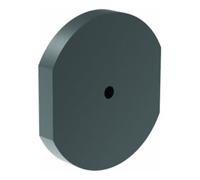 Gesipa Embout d'embout Gesipa P 17/36 (sans renfoncement) pour tête fraisée Quantité:1