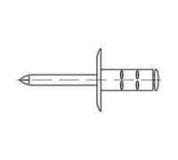 Gesipa Gesipa PolyGrip PolyGrip Rivet aveugle à tige multiple acier/galvanisé K 12 4 x 13 S Quantité:500